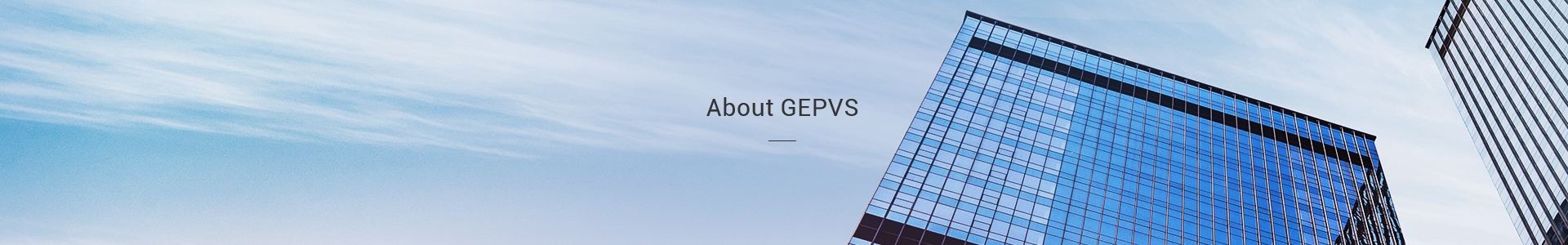 About GEPVS